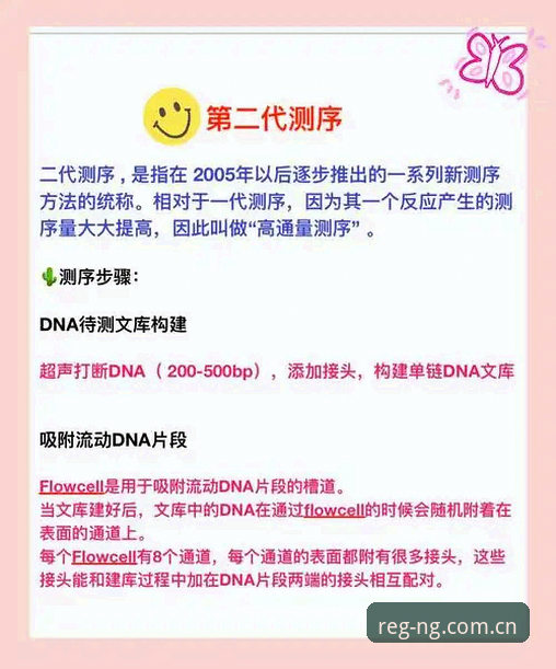 掌握南宫ng会员账号登录评测的实用技巧——ngzhuce全面解析与操作指南